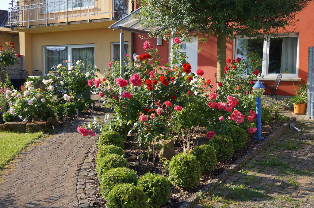 花园城堡度假别墅公寓 Kapellen-Drusweiler 外观 照片
